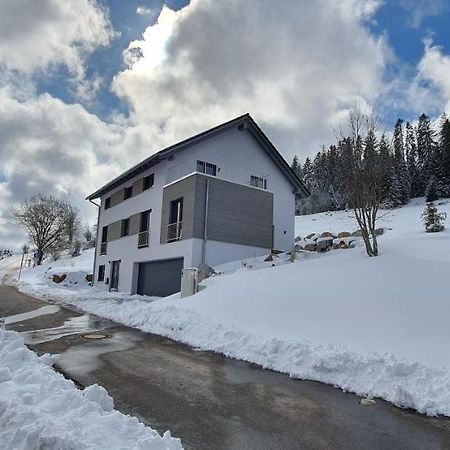 Adlernest Lägenhet Feldberg  Exteriör bild