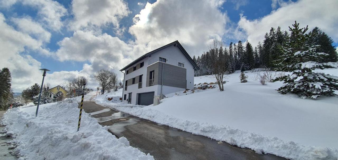 Adlernest Lägenhet Feldberg  Exteriör bild