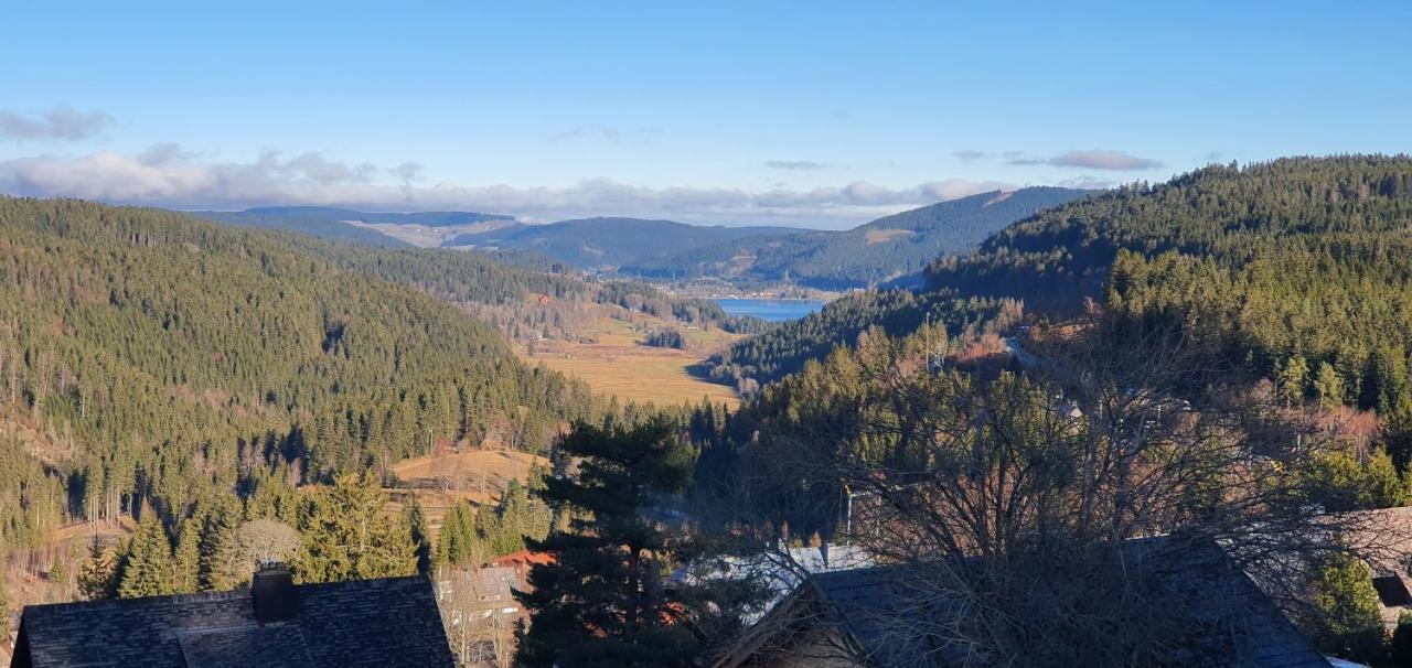 Adlernest Lägenhet Feldberg  Exteriör bild