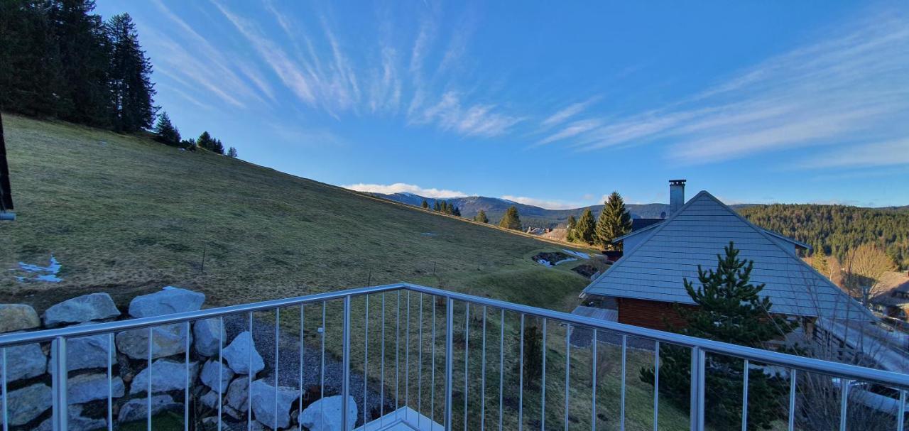 Adlernest Lägenhet Feldberg  Exteriör bild